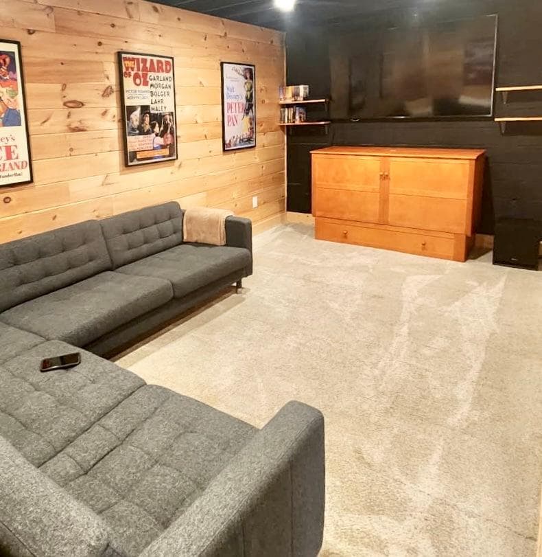 Bedroom 4/Theater with cabinet-style murphy bed.